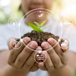 Ce beneficii are agricultura ecologica?